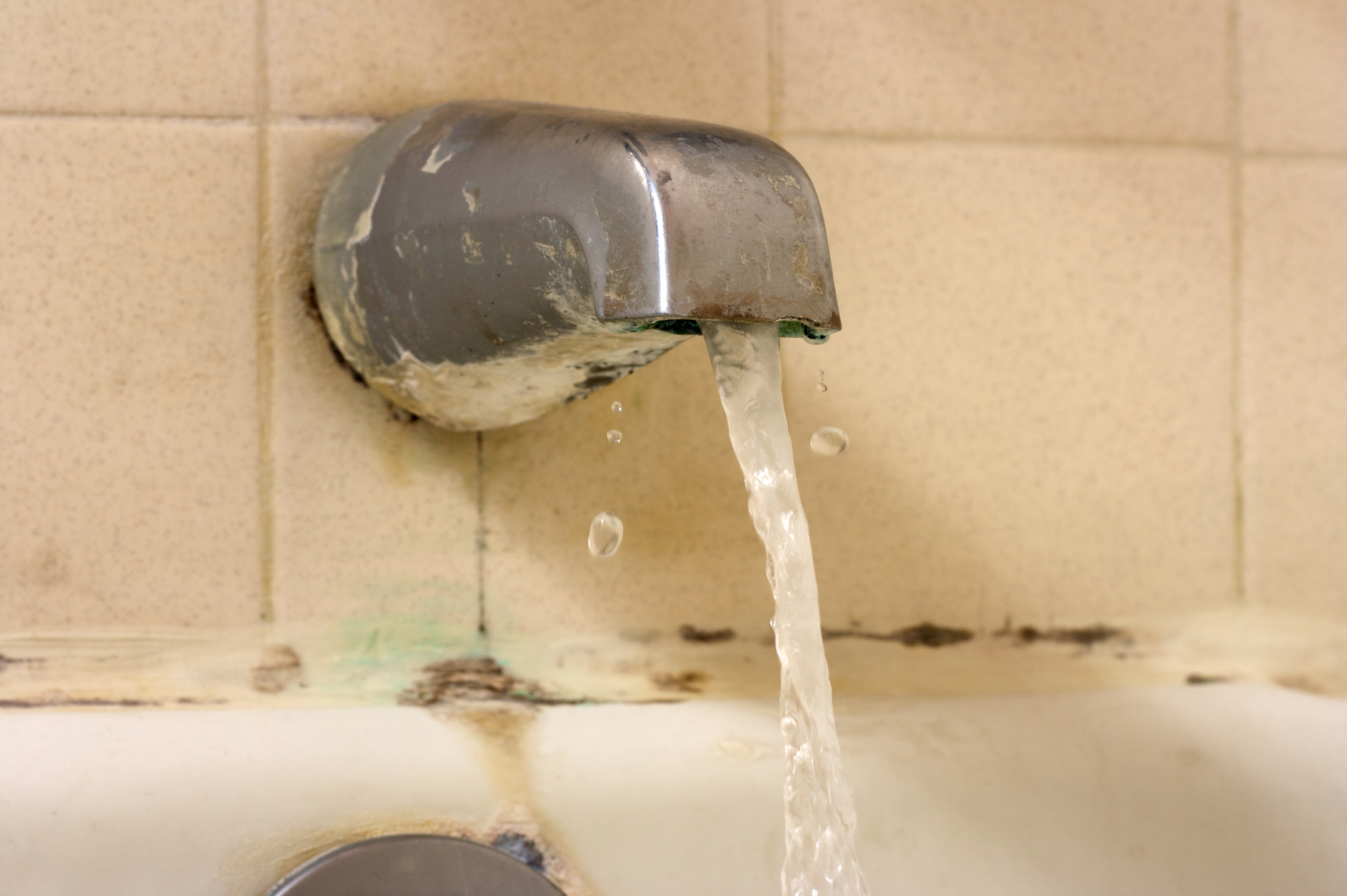 Signs That You Have Mold In Your Water Pipes